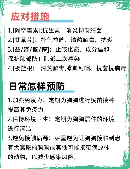 狗狗咳嗽干呕能自愈吗?