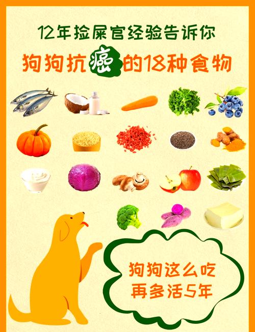 6种可以给狗狗治病的食物