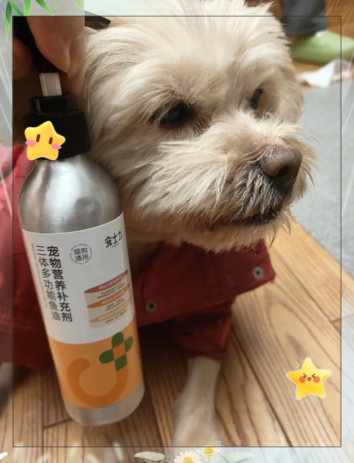 狗狗可以吃椰子油吗