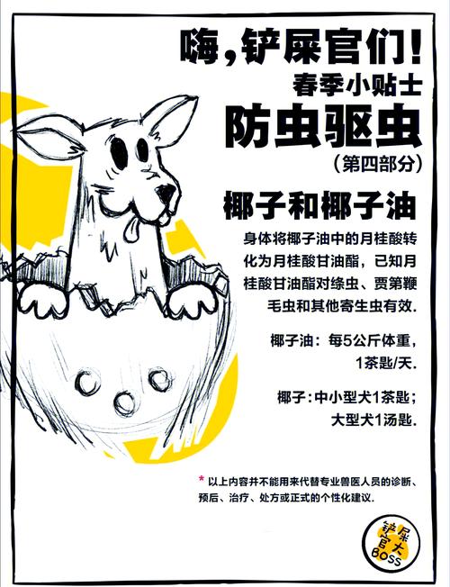 椰子油对狗狗的利与弊