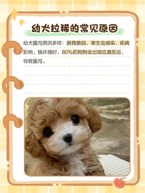 满月狗狗拉稀怎么办