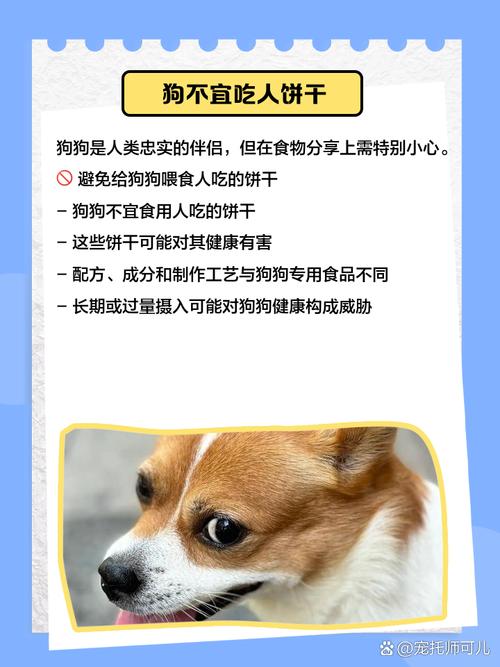 人吃的饼干给狗狗吃有没有坏处