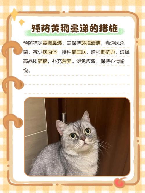 猫鼻子不透气有黄稠鼻涕