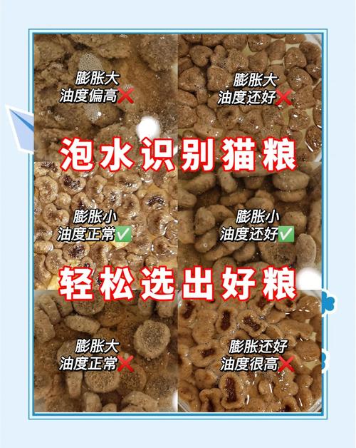 幼猫猫粮怎么泡软为什么我泡不软
