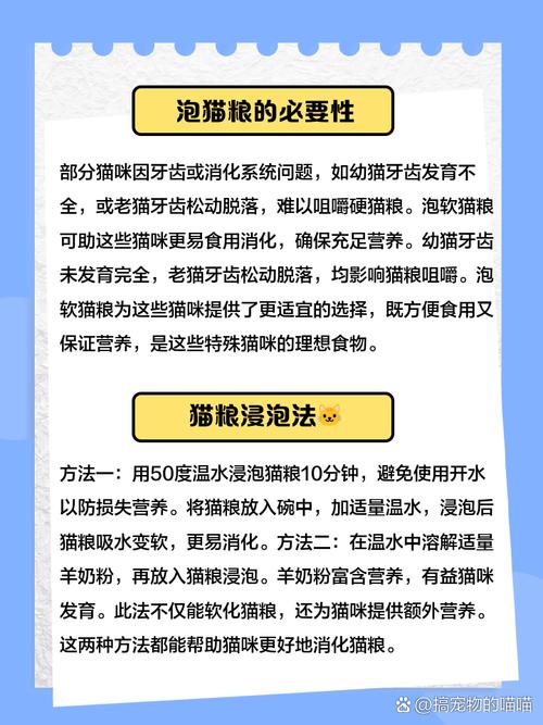 小猫吃的猫粮怎么泡