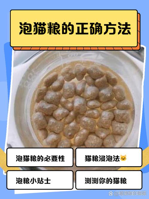 猫粮要用水泡吗