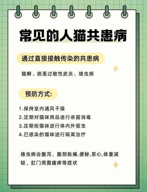 为什么要定期为猫咪驱虫?猫咪驱虫的重要性!