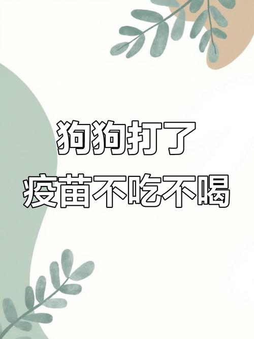 小狗打疫苗前能吃饭吗