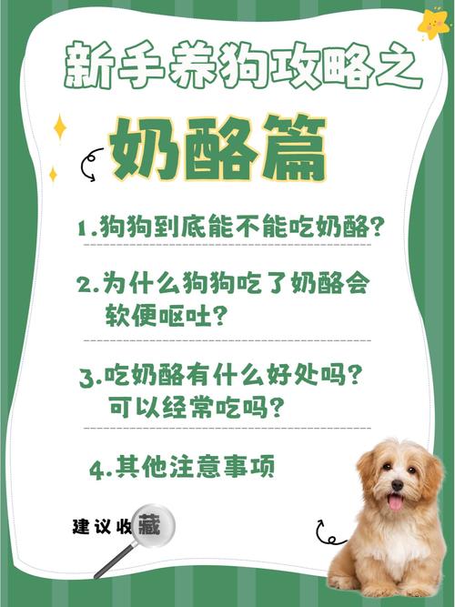 狗多吃奶酪会怎么样?