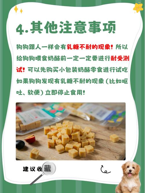 狗能不能吃奶酪