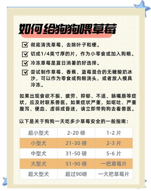 狗狗可以吃草莓吗?