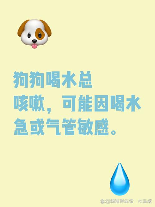 狗狗一喝水就咳嗽是怎么回事