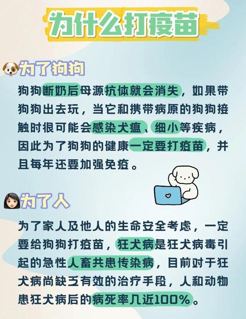 狗狗六个月了一直没打疫苗,可以打狂犬疫苗?