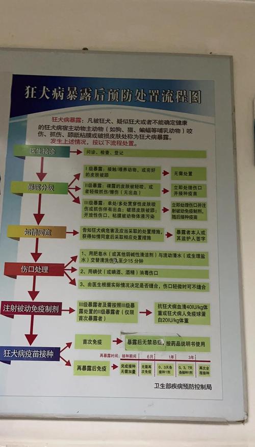 狗怎么样打狂犬疫苗?