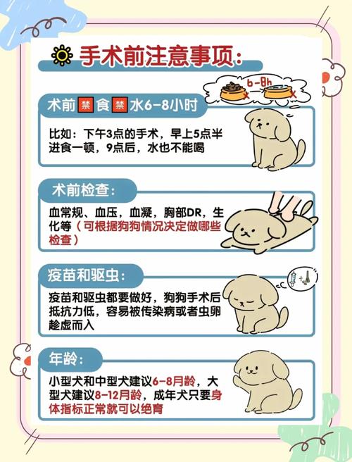 狗狗什么年纪做绝育好呢?