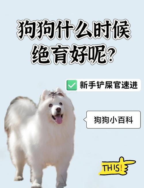 狗狗绝育的最佳时间