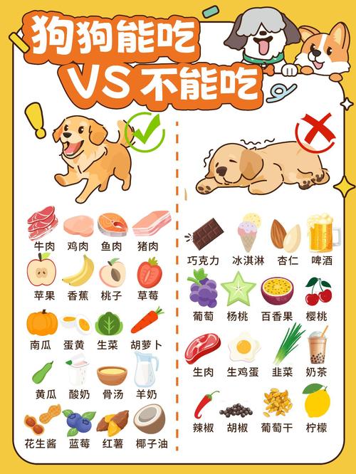 狗狗能吃冷的吗