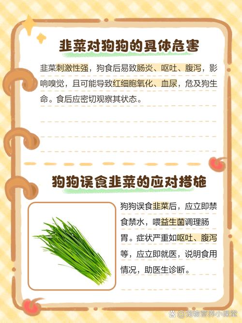 狗狗吃了一点韭菜有事吗