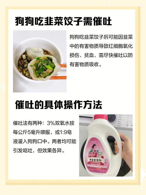 狗狗吃了3个韭菜饺子怎么办