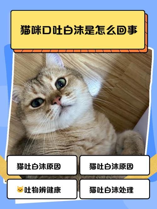 猫咪呕吐奶白色粘液会自愈吗