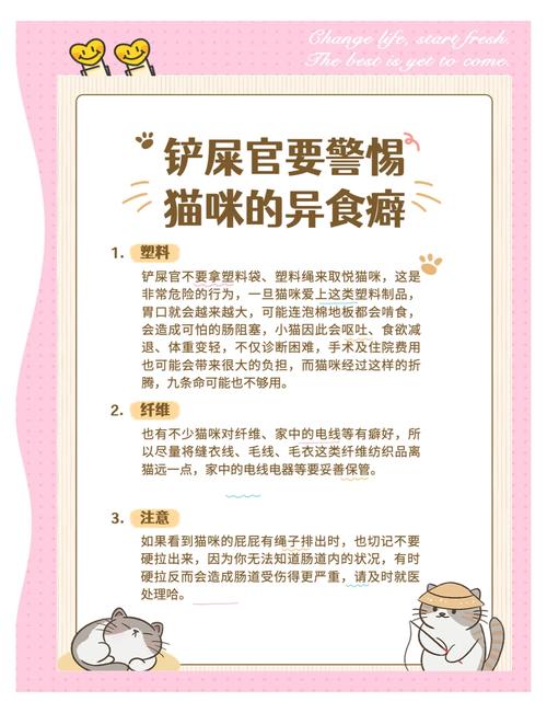猫咪为什么喜欢舔塑料袋