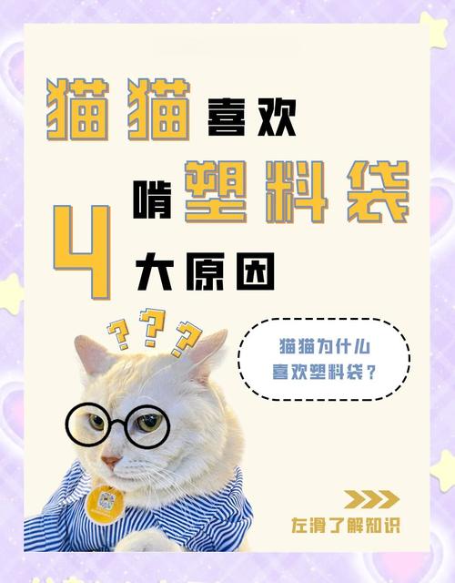 猫咪为什么喜欢舔塑料袋呢