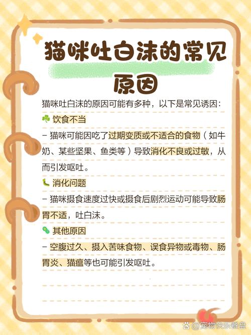 猫吐白沫不吃东西怎么办,猫咪吐白沫不吃东西的解决办法