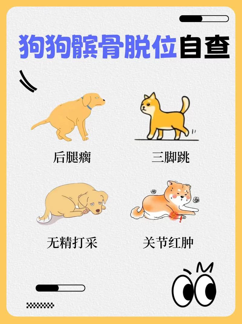 小狗髌骨脱位了还能自愈吗?