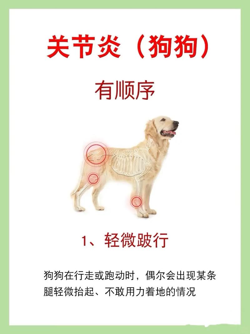 狗狗髌骨脱位怎么治疗比较好