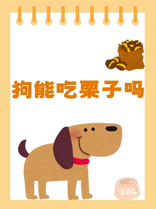 狗能吃板栗吗为什么