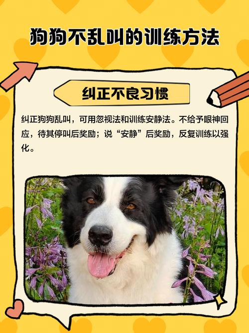 训练狗狗不乱叫的方法