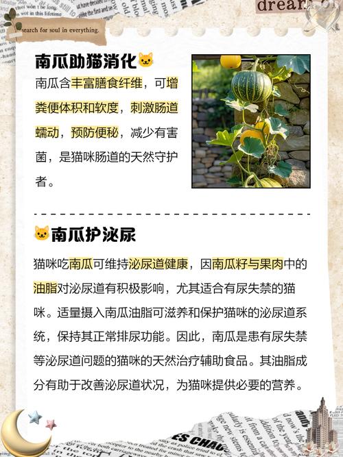 猫咪吃木瓜有什么好处?