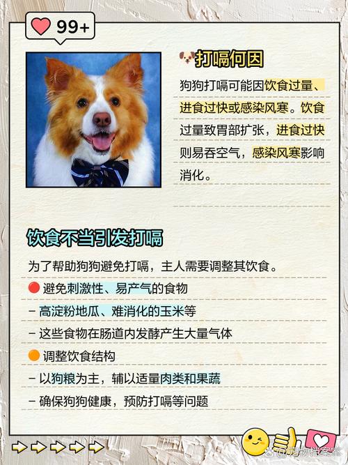 狗狗半夜打嗝是为什么原因