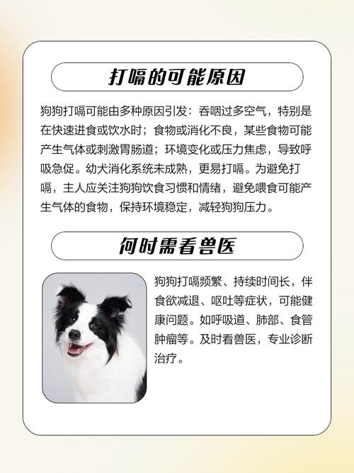 狗狗打嗝要警惕四种病