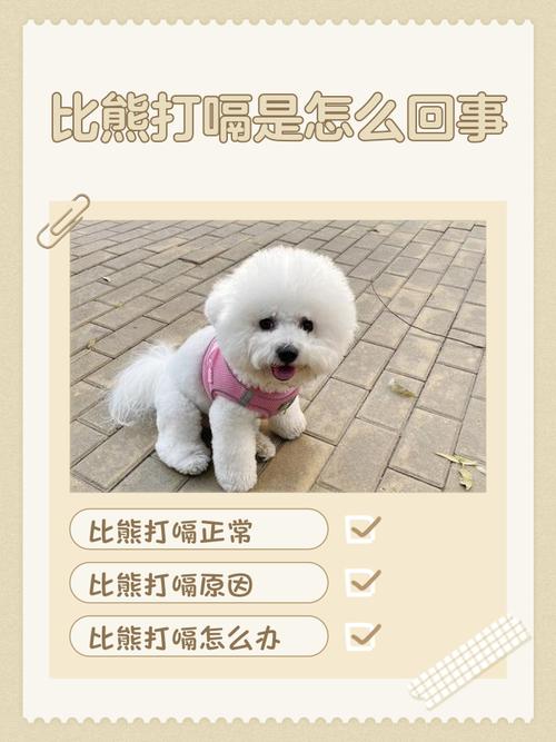 狗狗总在半夜打嗝是为什么