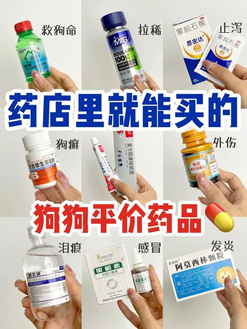 狗狗感冒了什么症状吃什么药