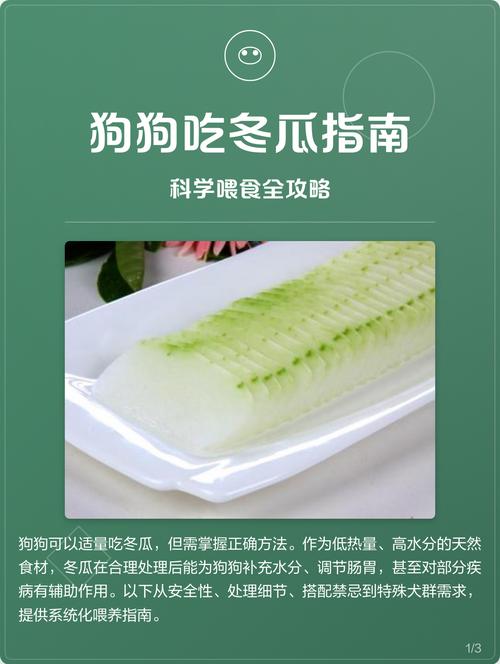 狗狗吃冬瓜的好处