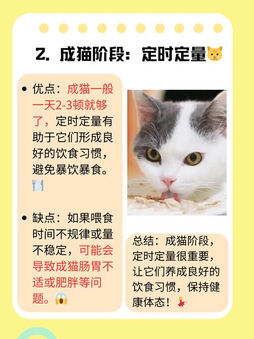猫咪冬天更爱睡觉吗