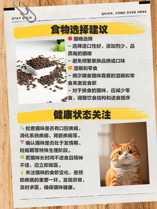 猫咪食欲下降怎么回事