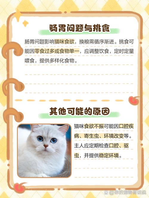 猫咪食欲下降精神萎靡不振是怎么回事啊