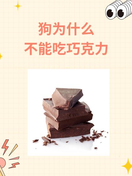 狗能吃海苔吗会死吗