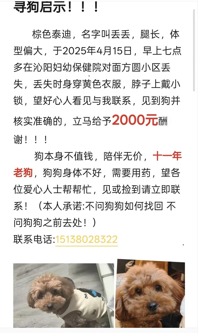 狗狗走丢了,怎么找回来?