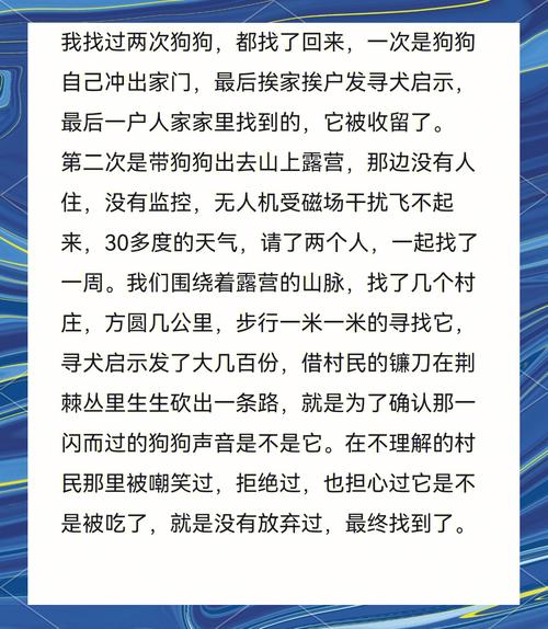 农村狗丢了怎么才能找回来