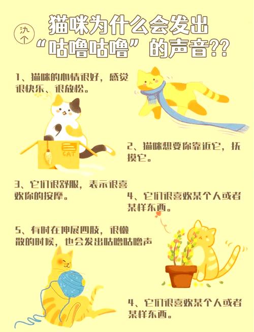 主人一靠近猫就呼噜是怎么回事?