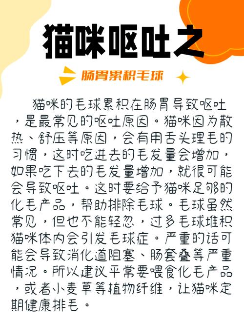 猫咪半夜吐了怎么回事