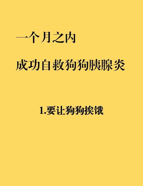 狗得了胰腺炎能活多久?