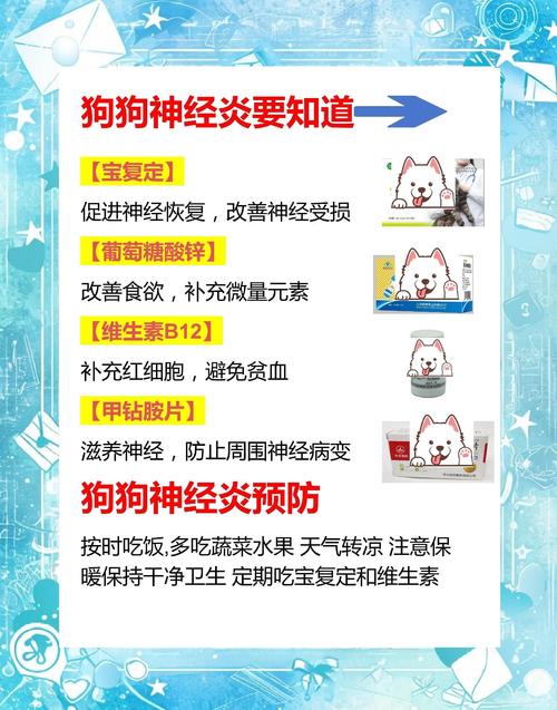 狗为什么突然得脑炎了