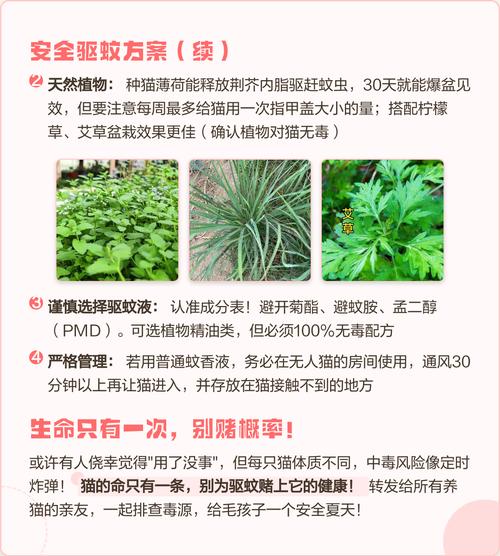 猫咪误食了电热蚊香液怎么办啊?