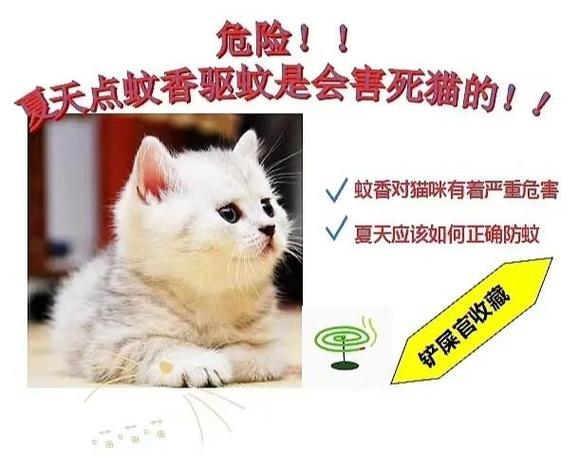 哪些品牌的蚊香可以在养猫的家里使用?