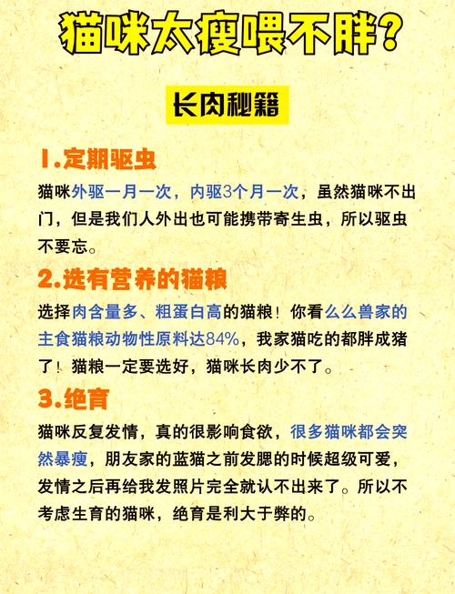 猫传腹的猫为什么会越来越瘦